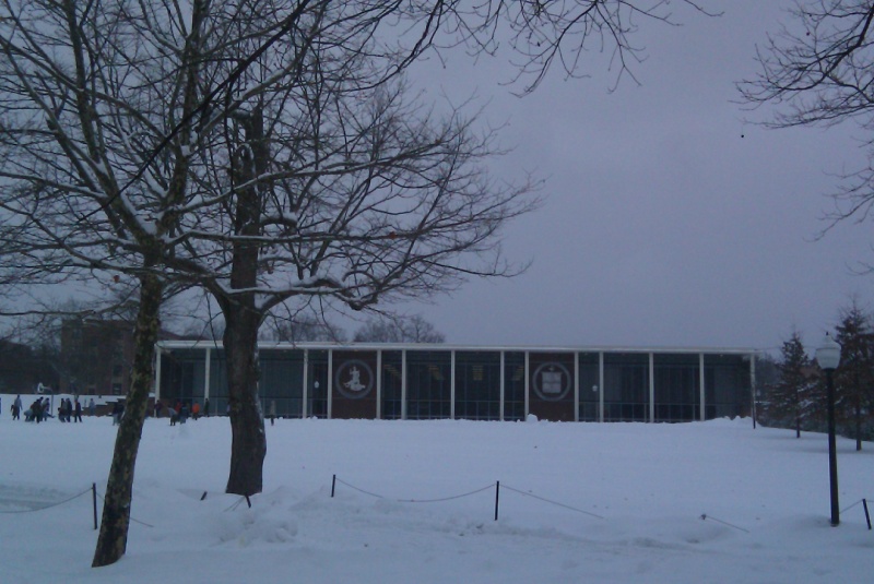 File:Shultz Hall in Winter.jpg